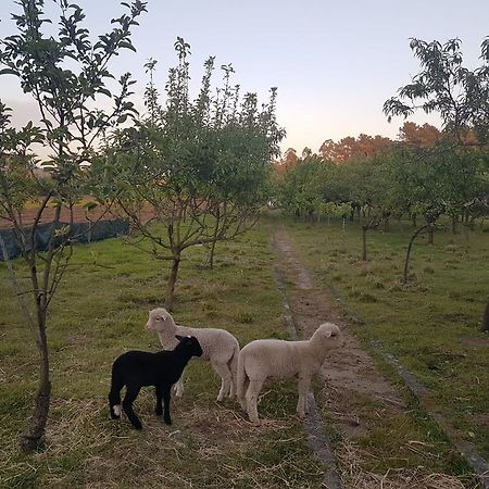 Quinta da Lage Villa Barcelos Esterno foto